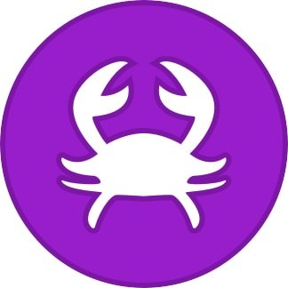 Icon Image